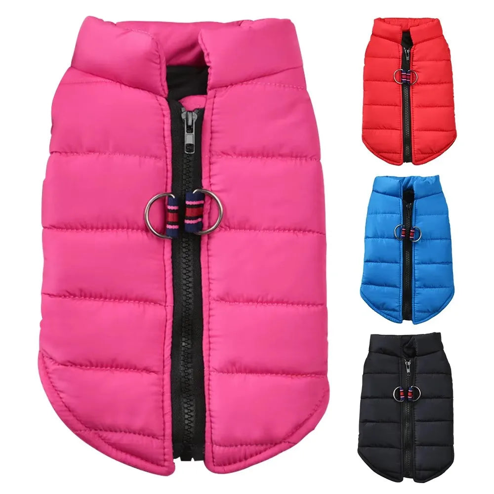 Winter Padded Dog & Cat Coat for Small Pets