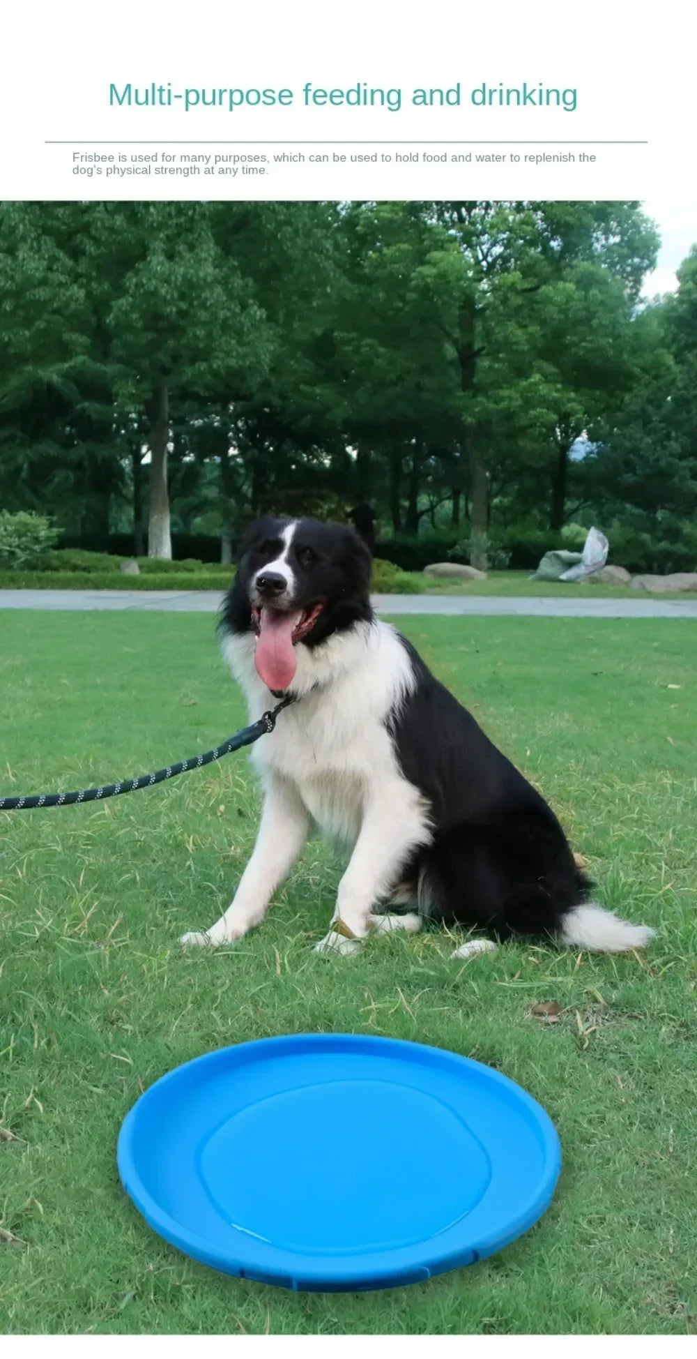 Multicolor Silicone Flying Disc Dog Toy