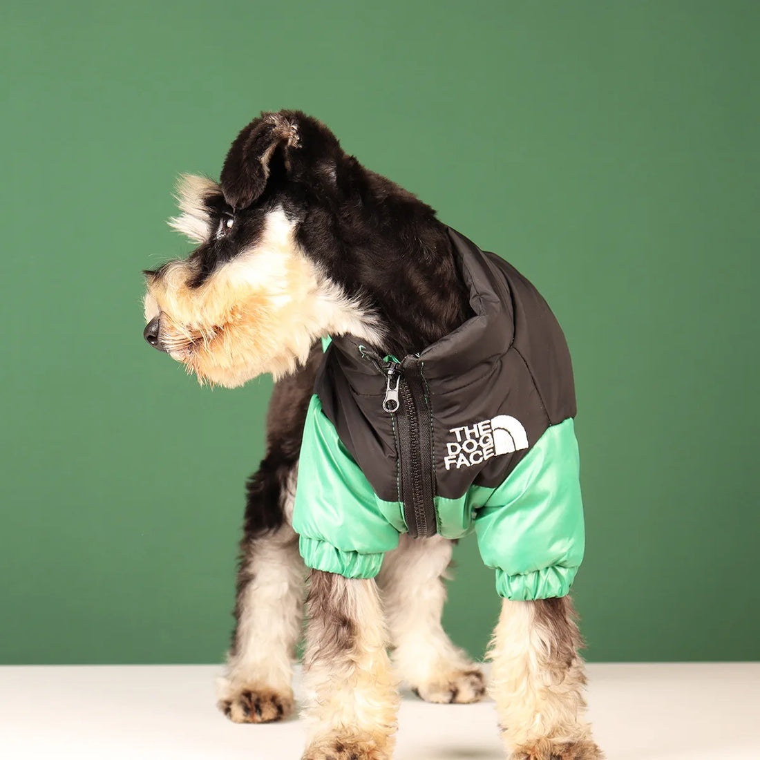 Winter Warm Dog Jacket for Small & Medium Breeds