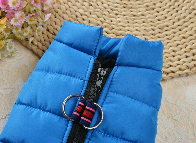 Winter Padded Dog & Cat Coat for Small Pets