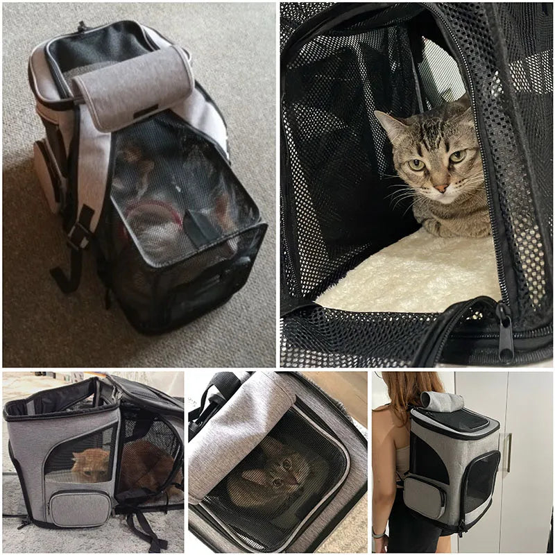 Foldable Breathable Pet Carrier Backpack for Cats & Dogs