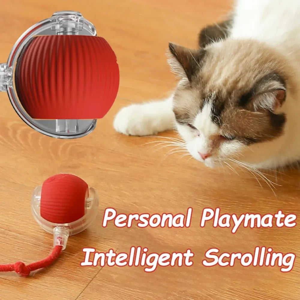 Automatic Smart Rolling Ball Cat Toy