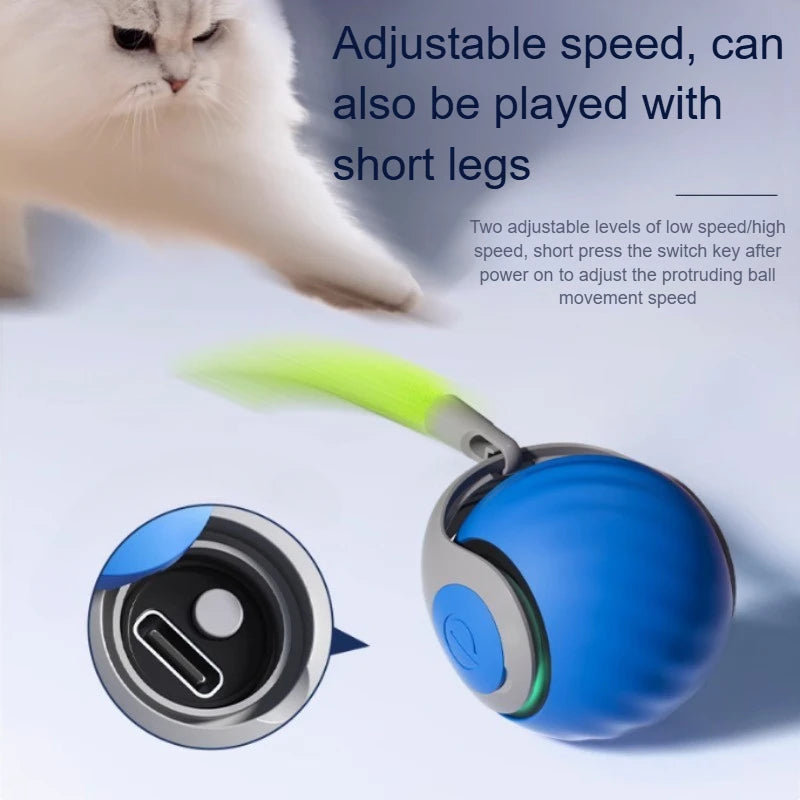USB Rechargeable Smart Rolling Ball Cat Toy