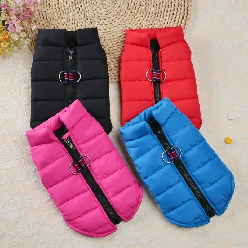 Winter Padded Dog & Cat Coat for Small Pets