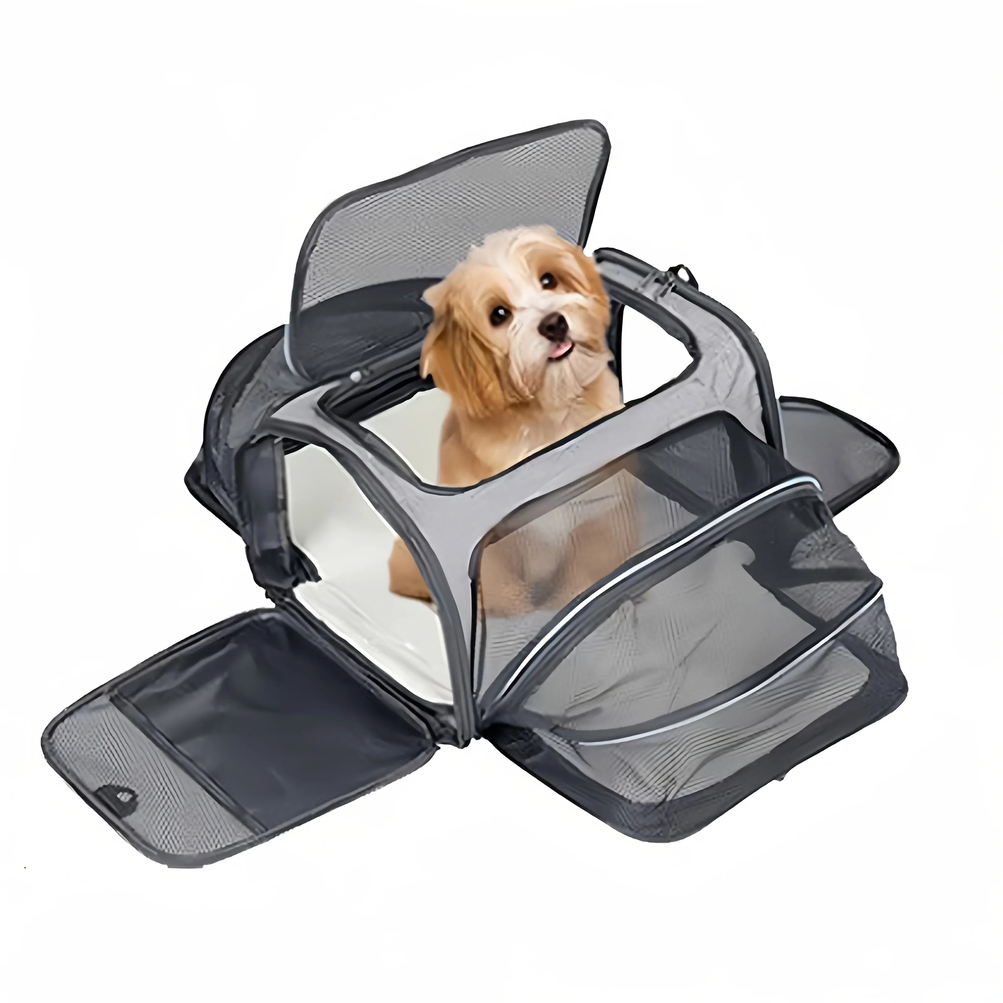 Foldable Small Pet Carrier Bag with Mesh