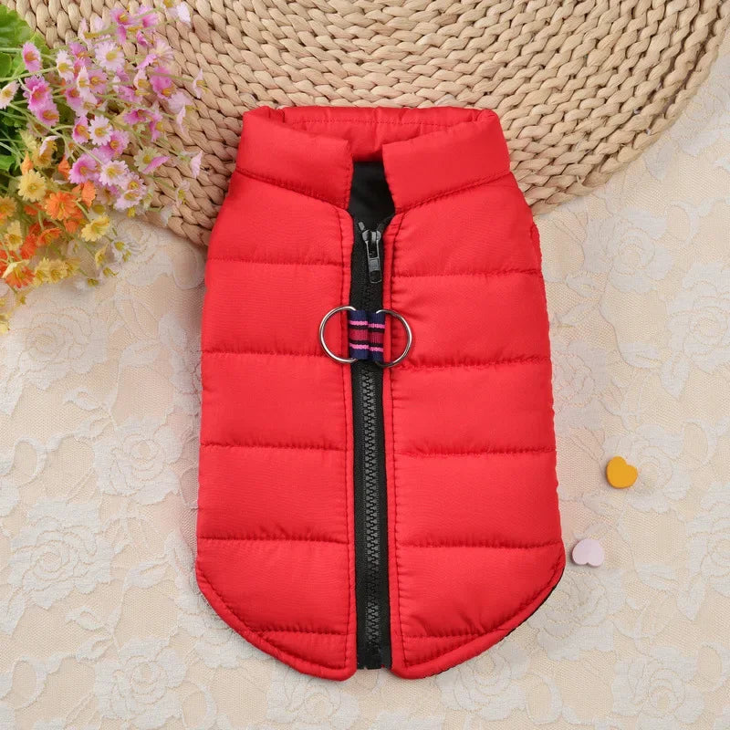 Winter Padded Dog & Cat Coat for Small Pets