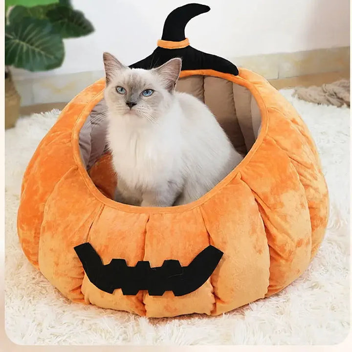 Pumpkin Cat & Dog Bed All-Season House
